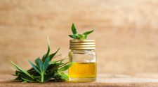 CBD Oil VS Hemp Oil (Seed) – Medicinal Uses