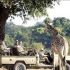 The best countries to go on safari
